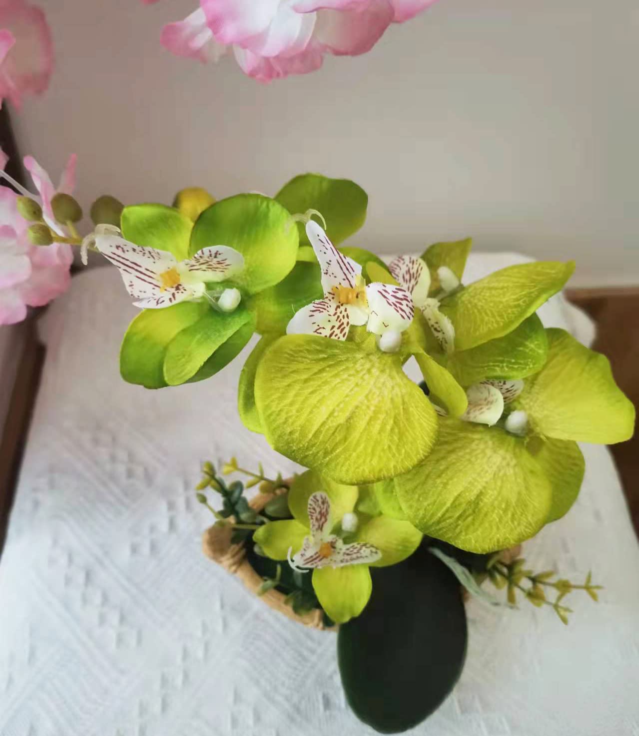 Amazon｜胡蝶蘭 人工観葉植物 光触媒加工 造花 卓上型 船型の鉢植 石鉢
